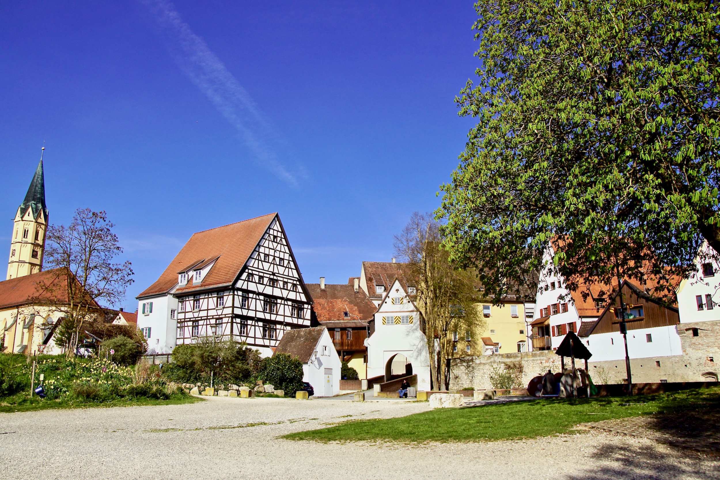 Lauingen city view