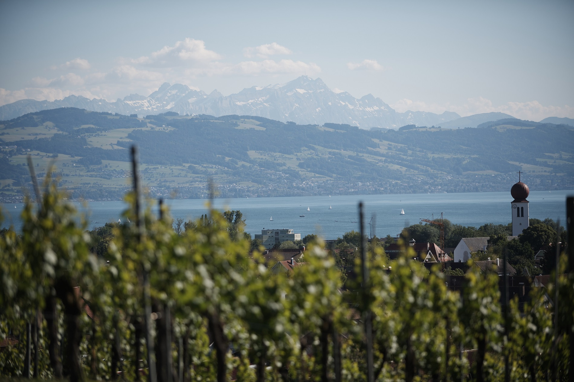 Kressbronn a. B. city view