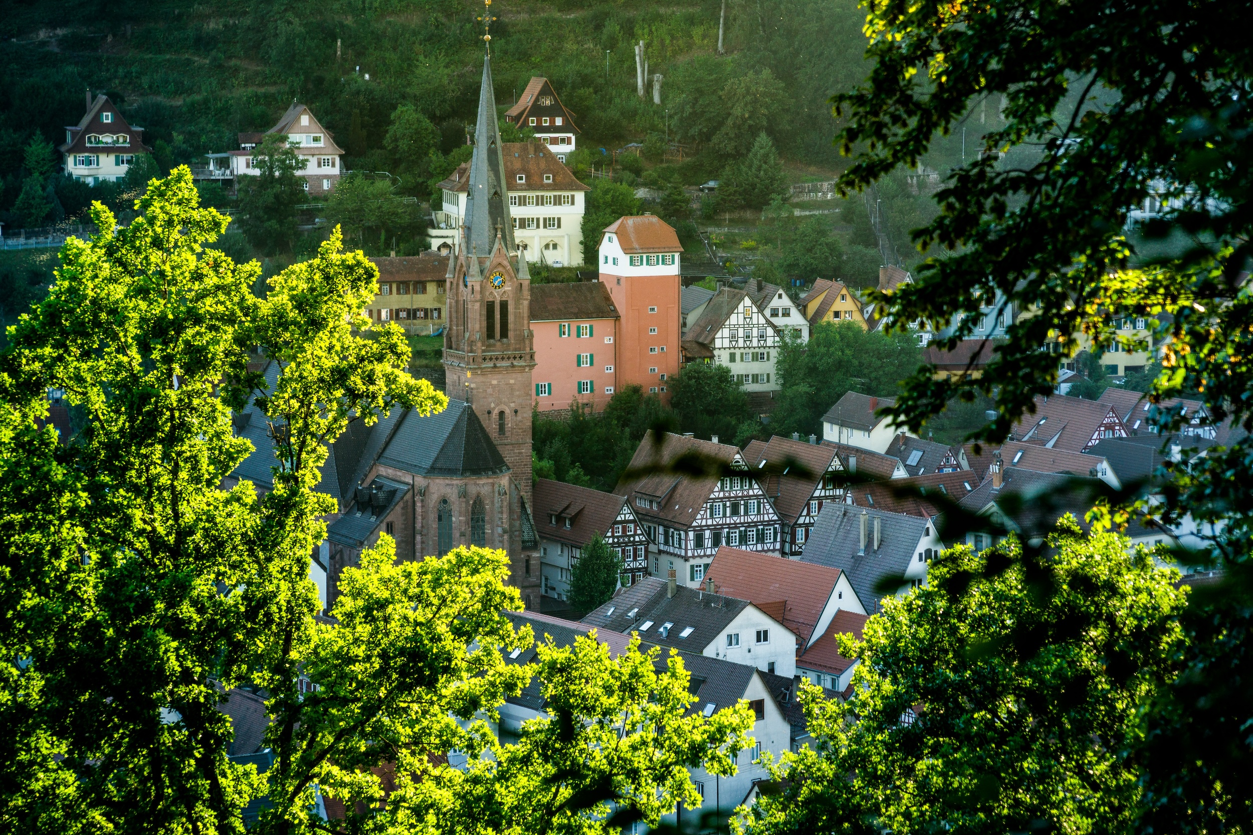 Calw city view