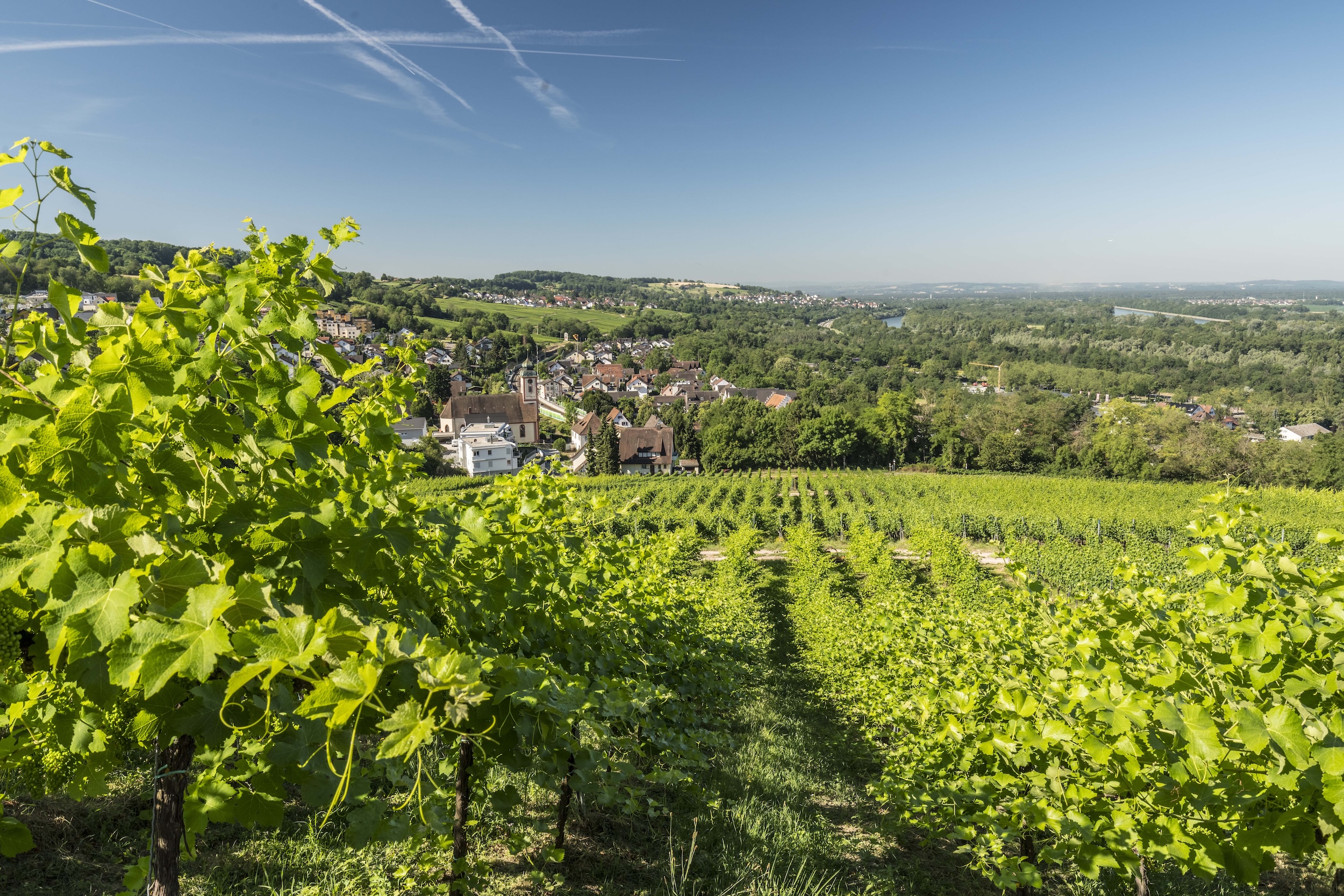 Bad Bellingen city view