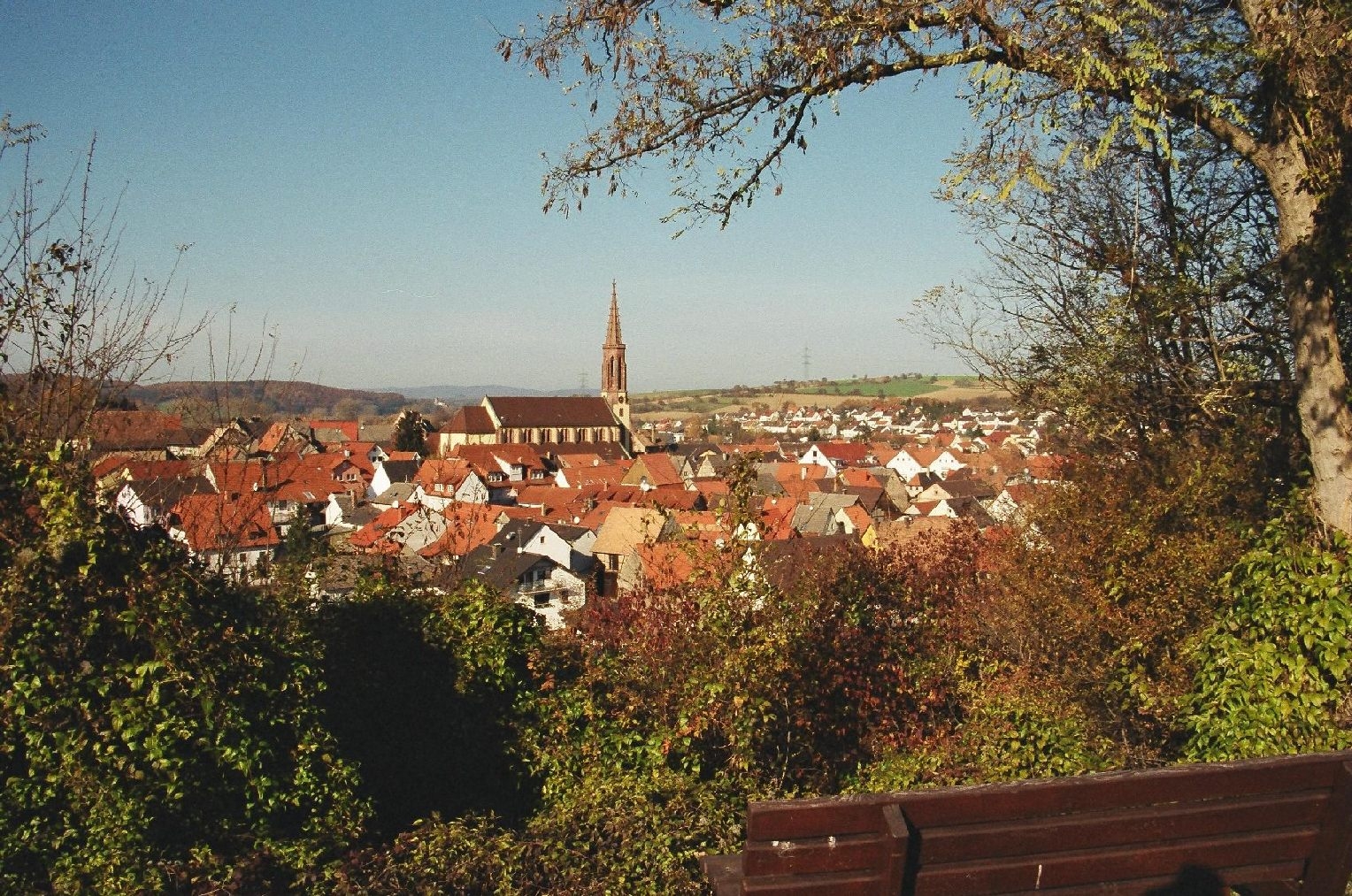 Waibstadt city view